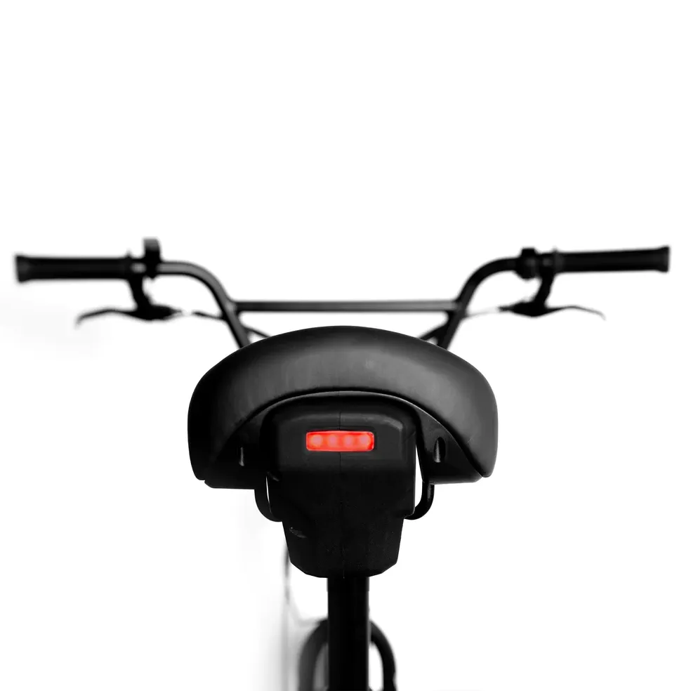 Project BMX ebike
