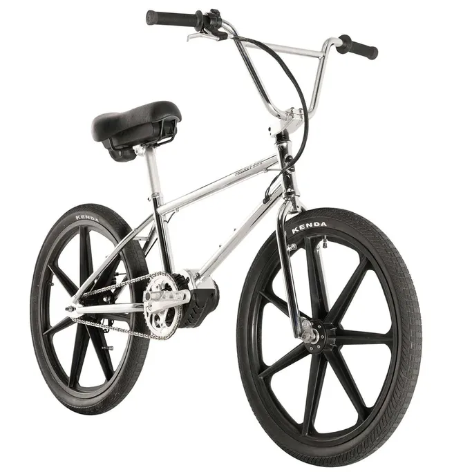 Project BMX ebike