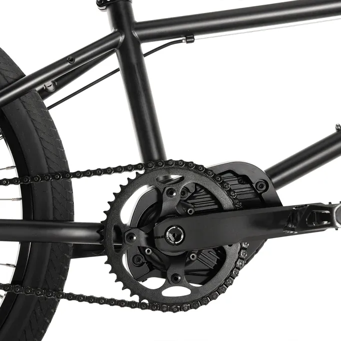 Project BMX ebike