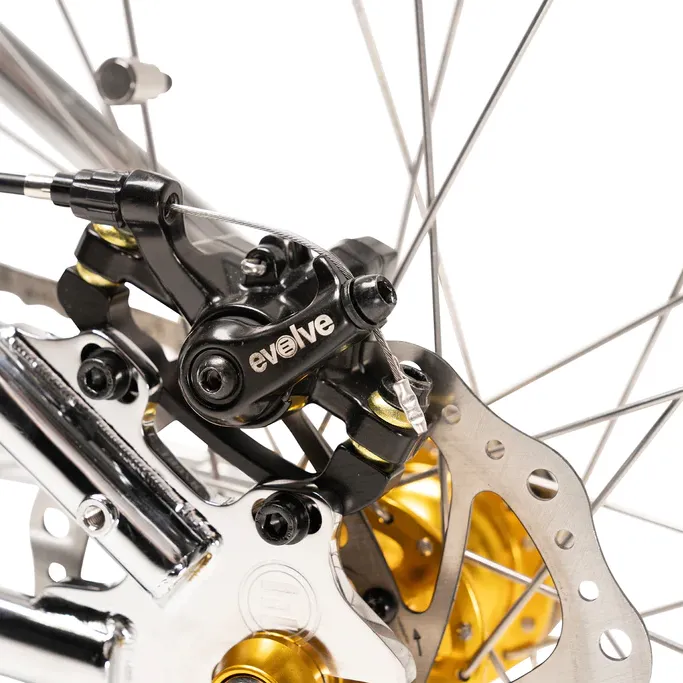 Project BMX ebike
