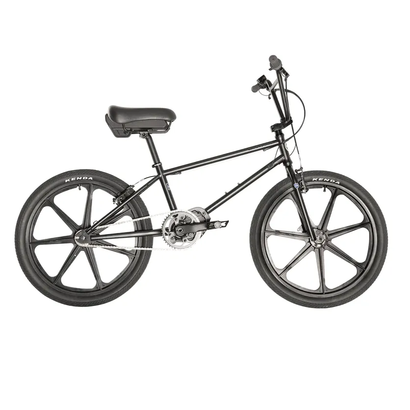 Project BMX ebike