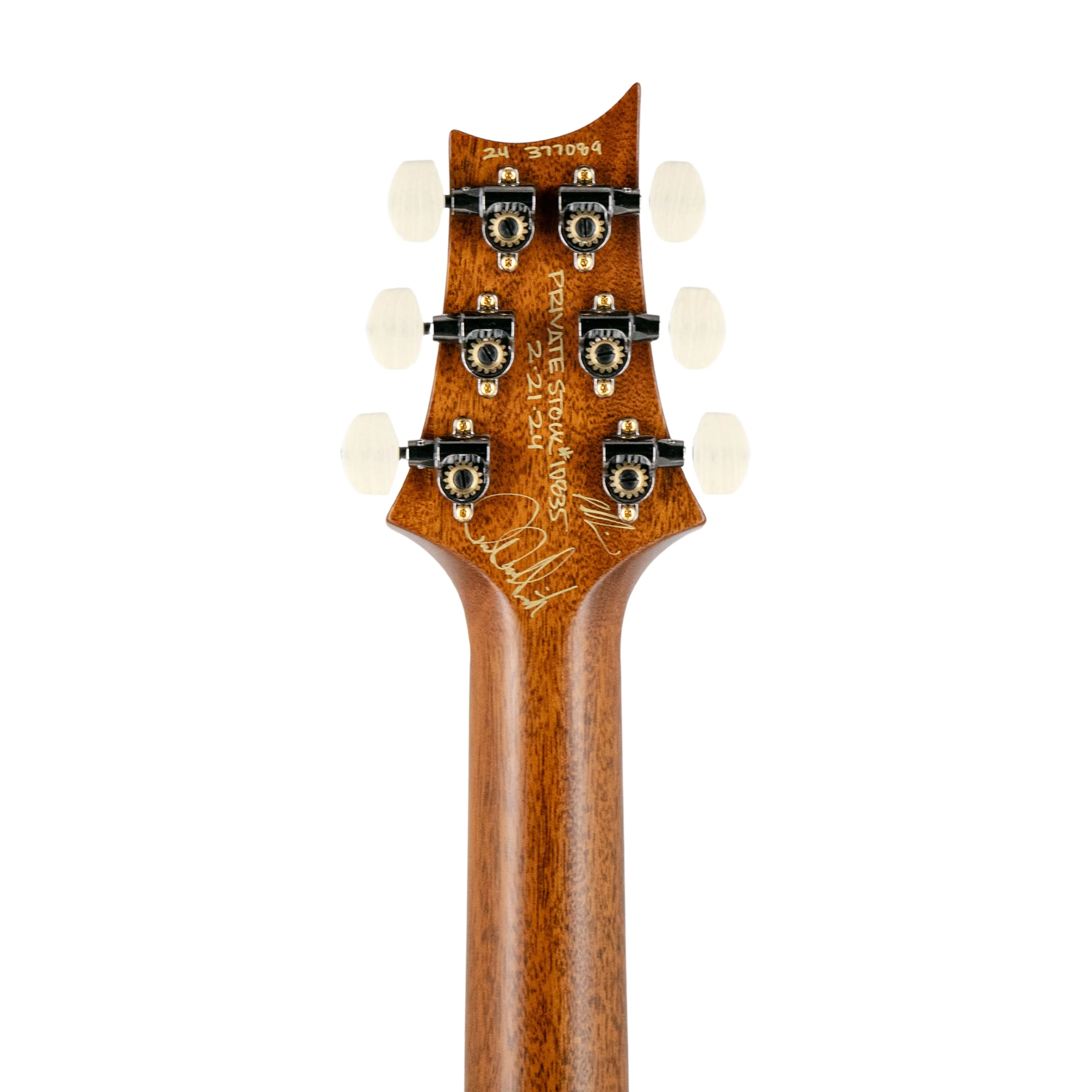 PRS Private Stock 10835 Semi Hollow Piezo Electric Guitar, Rainforest