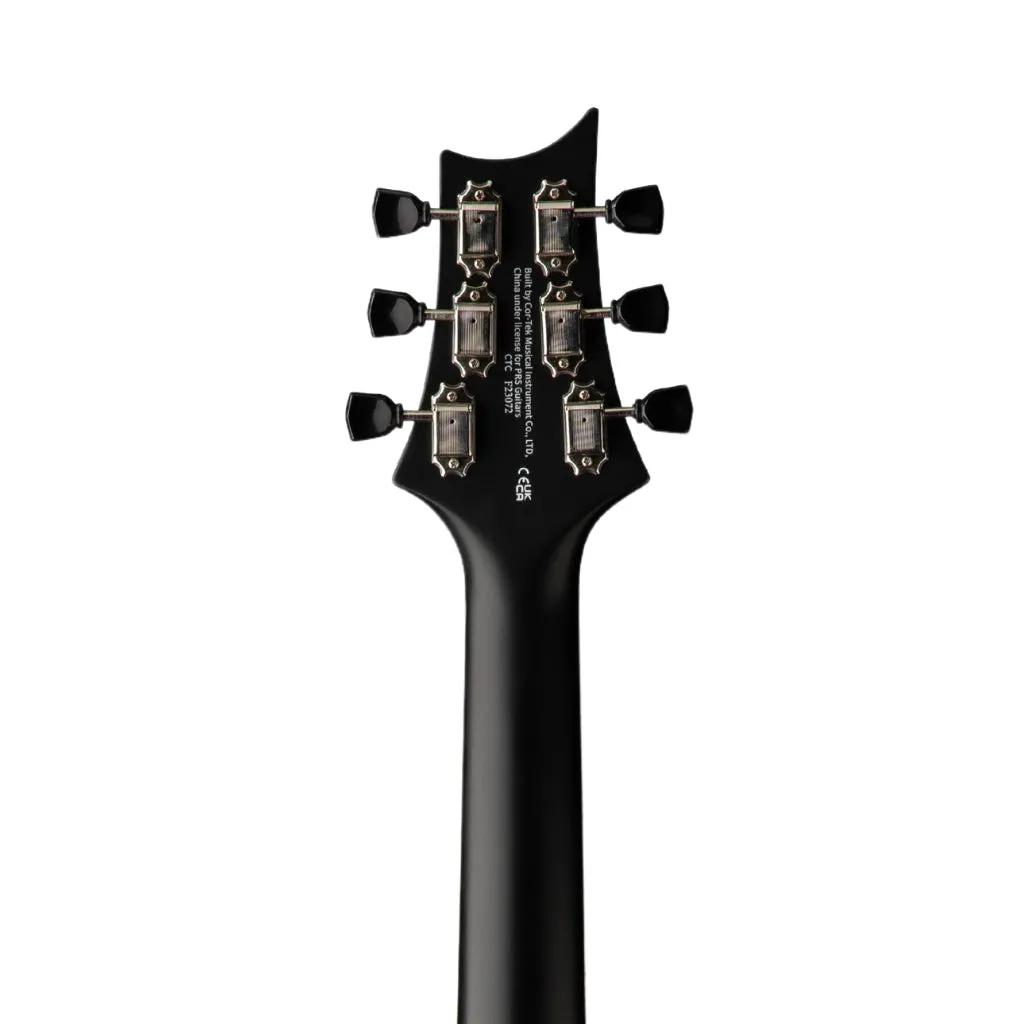 PRS SE P20E Acoustic Guitar - Dog Hair (Gloss Top, Satin Back)