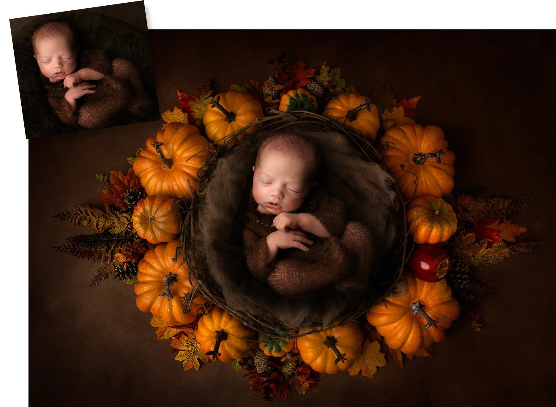 Pumpkin Patch Digital Background