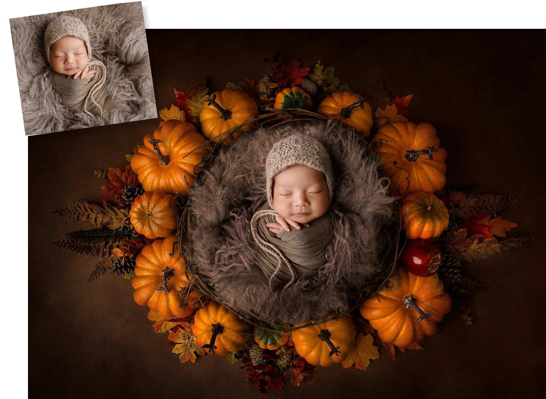 Pumpkin Patch Digital Background