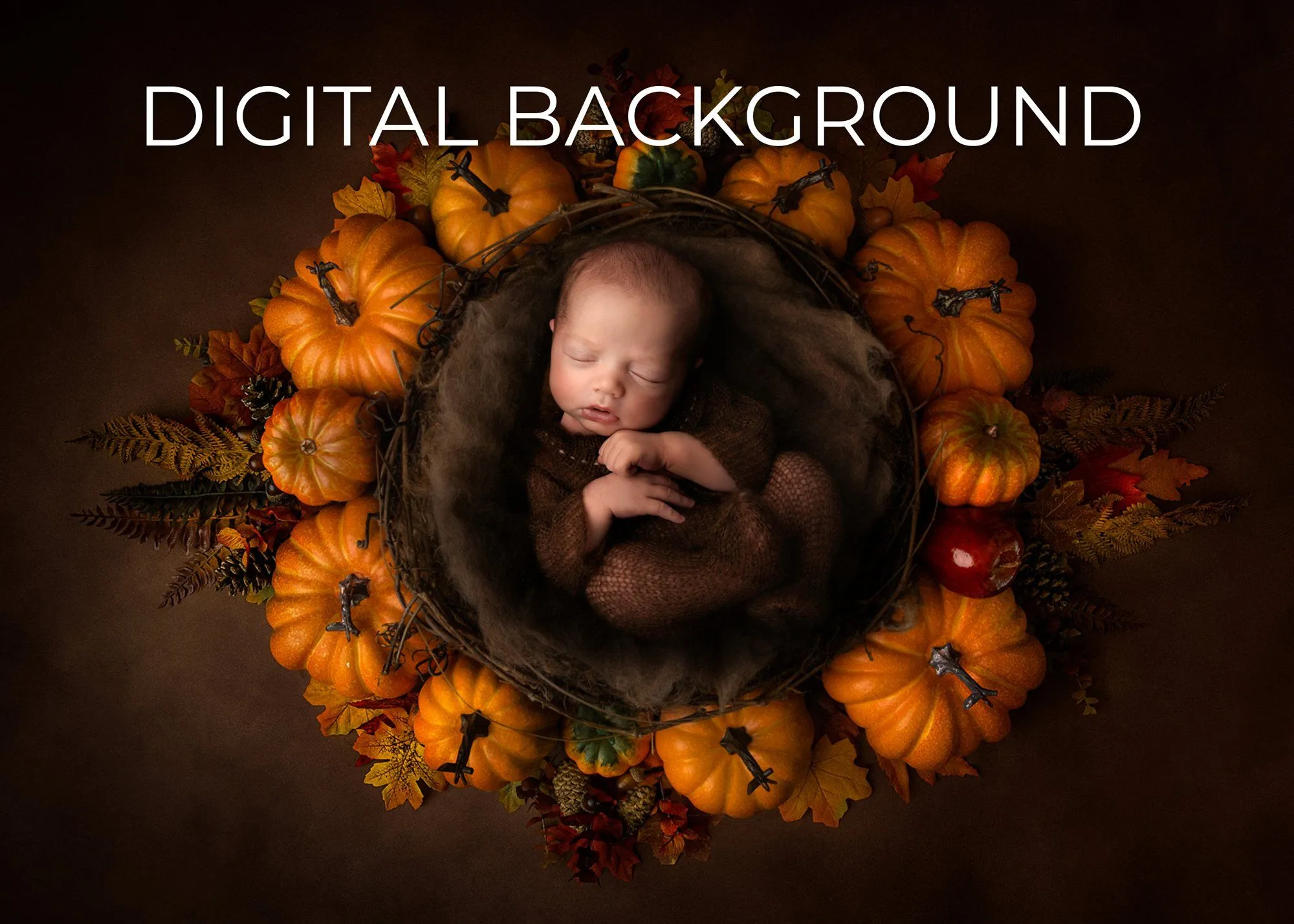 Pumpkin Patch Digital Background