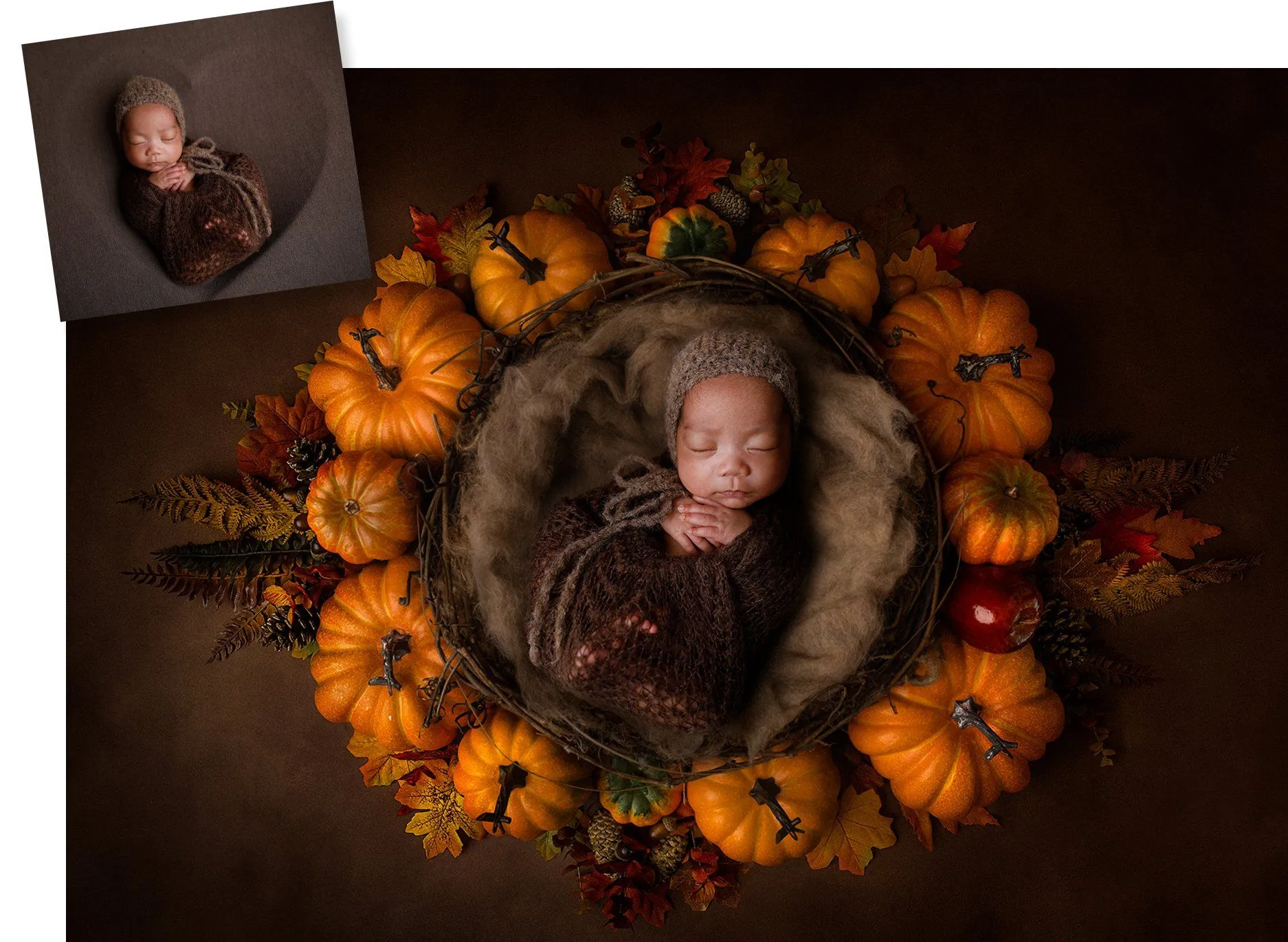 Pumpkin Patch Digital Background