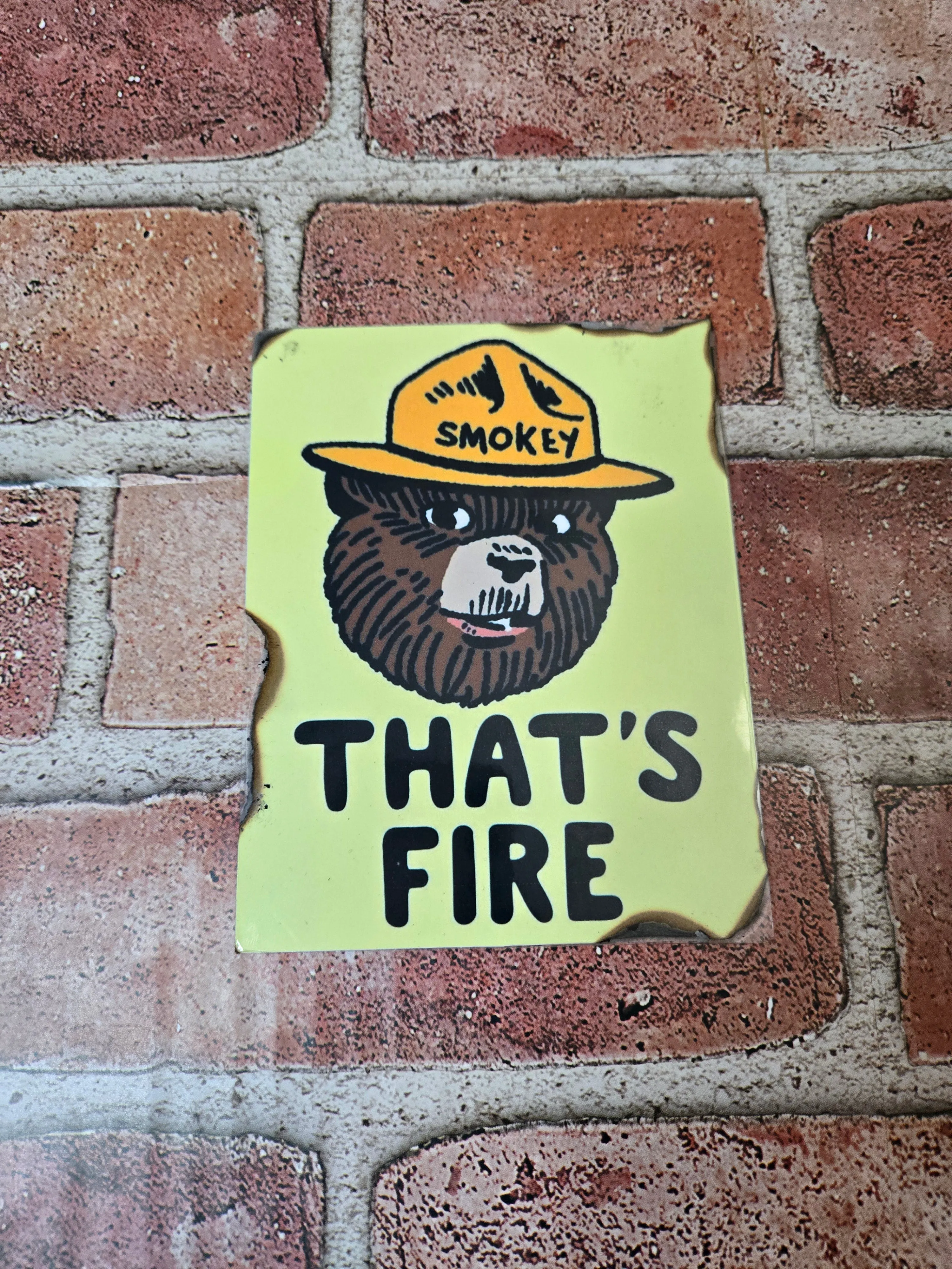 "That's Fire" Smokey Bear Collectible Postcards