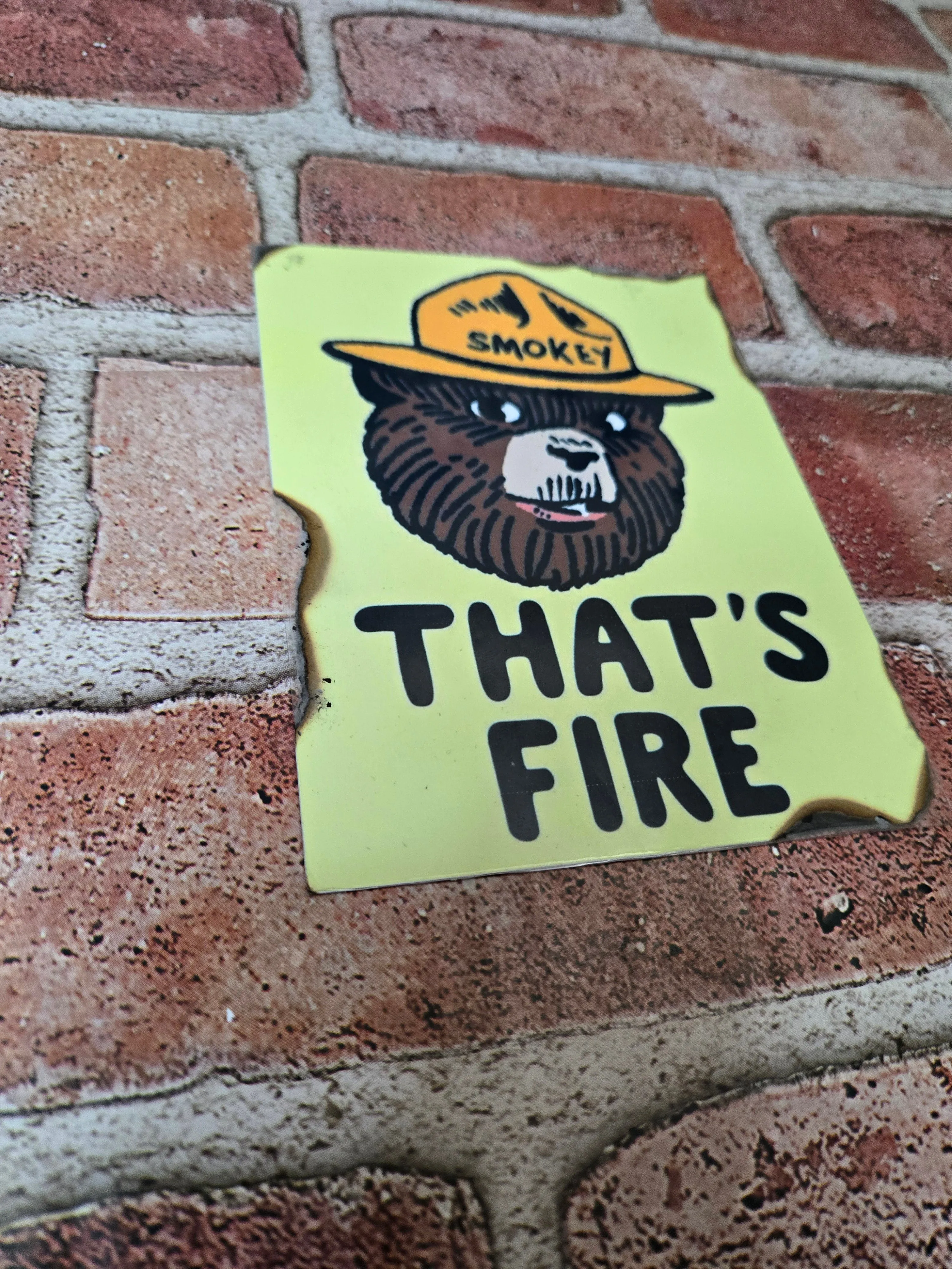 "That's Fire" Smokey Bear Collectible Postcards