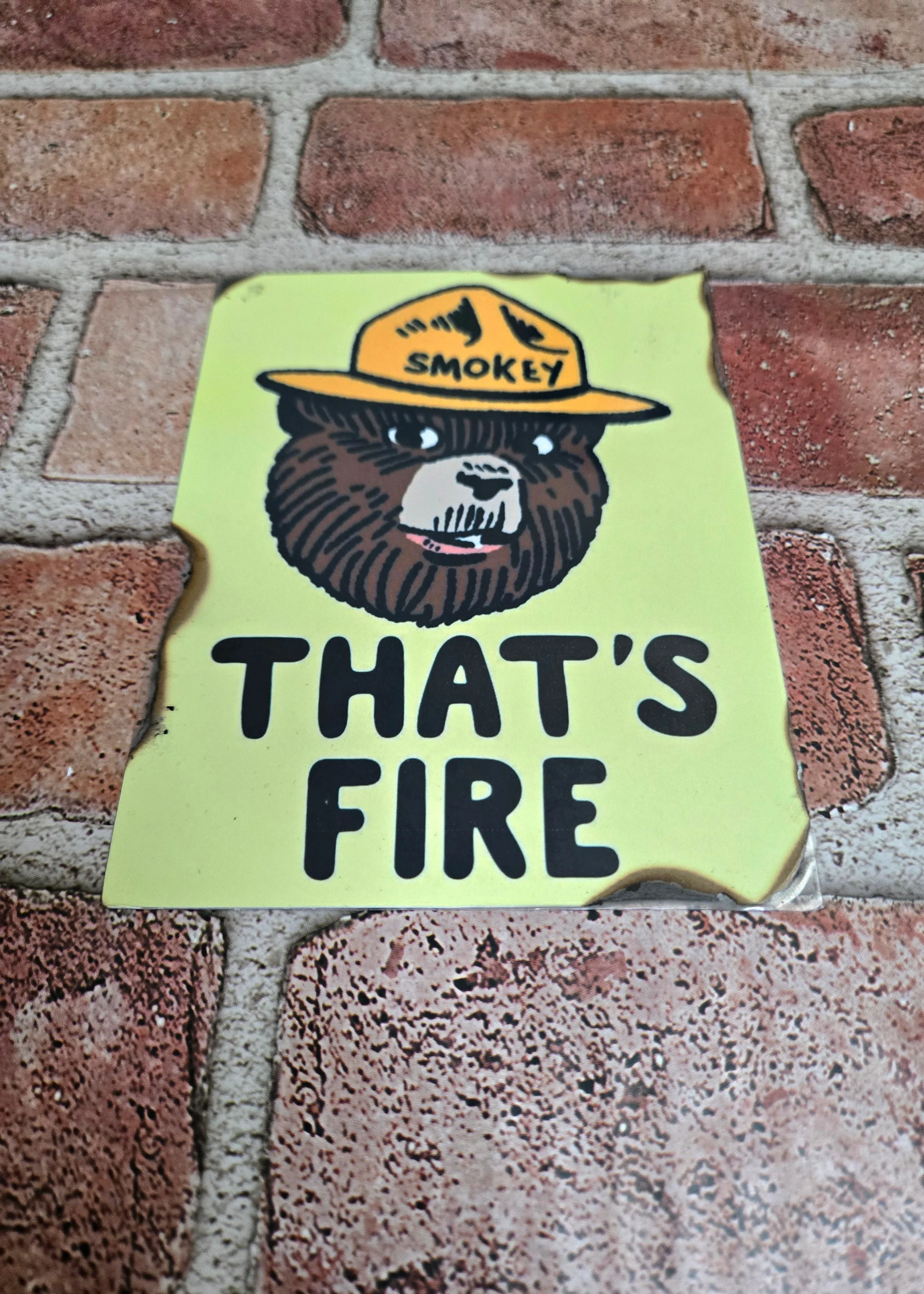 "That's Fire" Smokey Bear Collectible Postcards