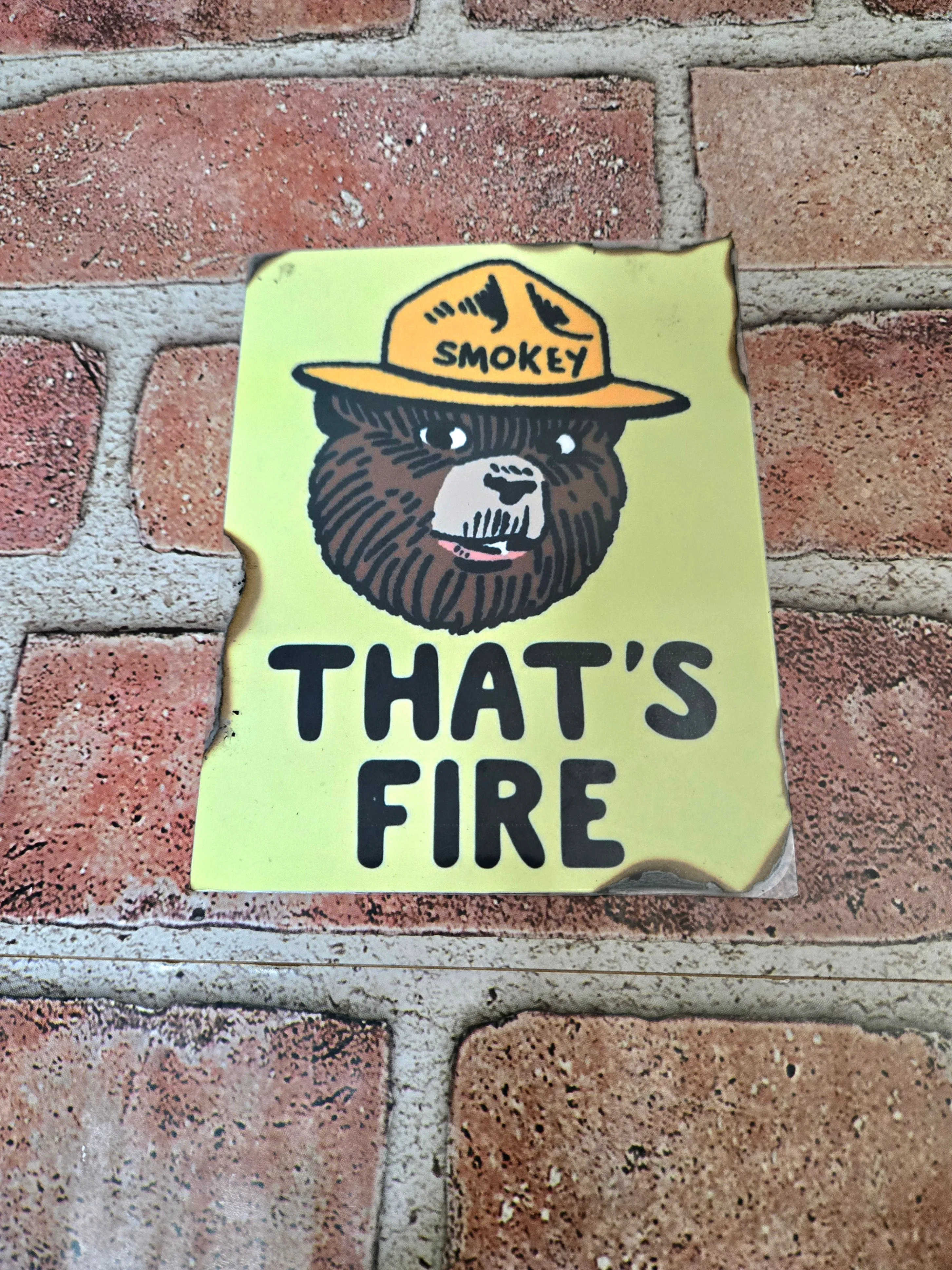 "That's Fire" Smokey Bear Collectible Postcards