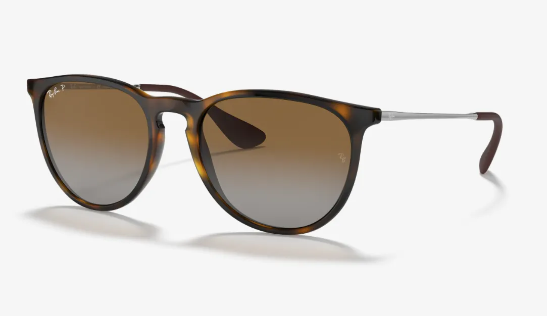 Ray-Ban RB4171 Erika Sunglasses