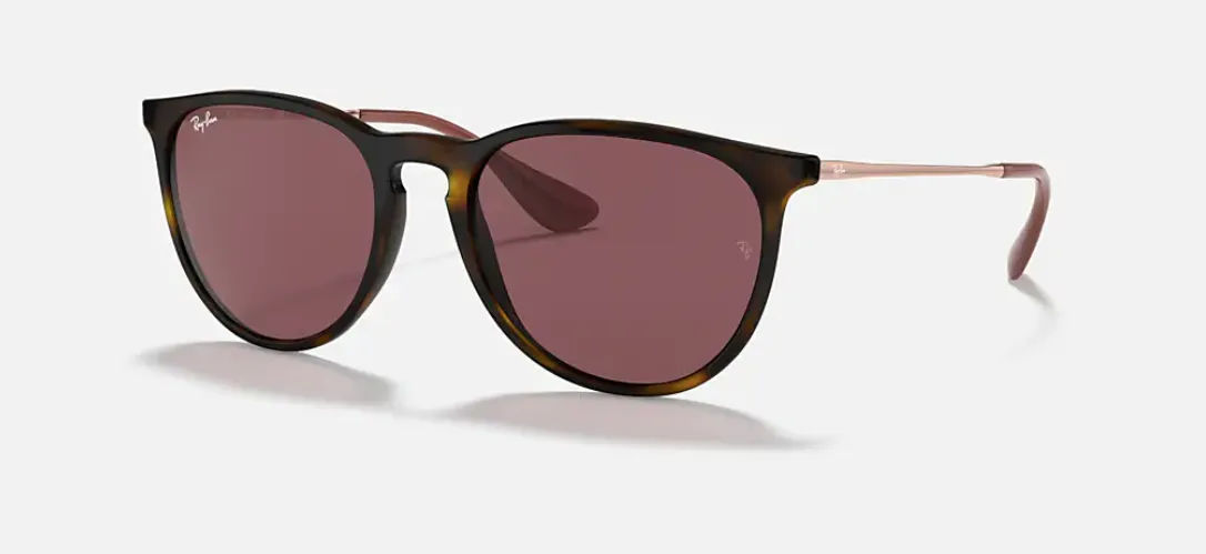 Ray-Ban RB4171 Erika Sunglasses