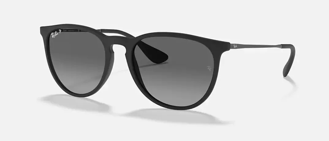 Ray-Ban RB4171 Erika Sunglasses