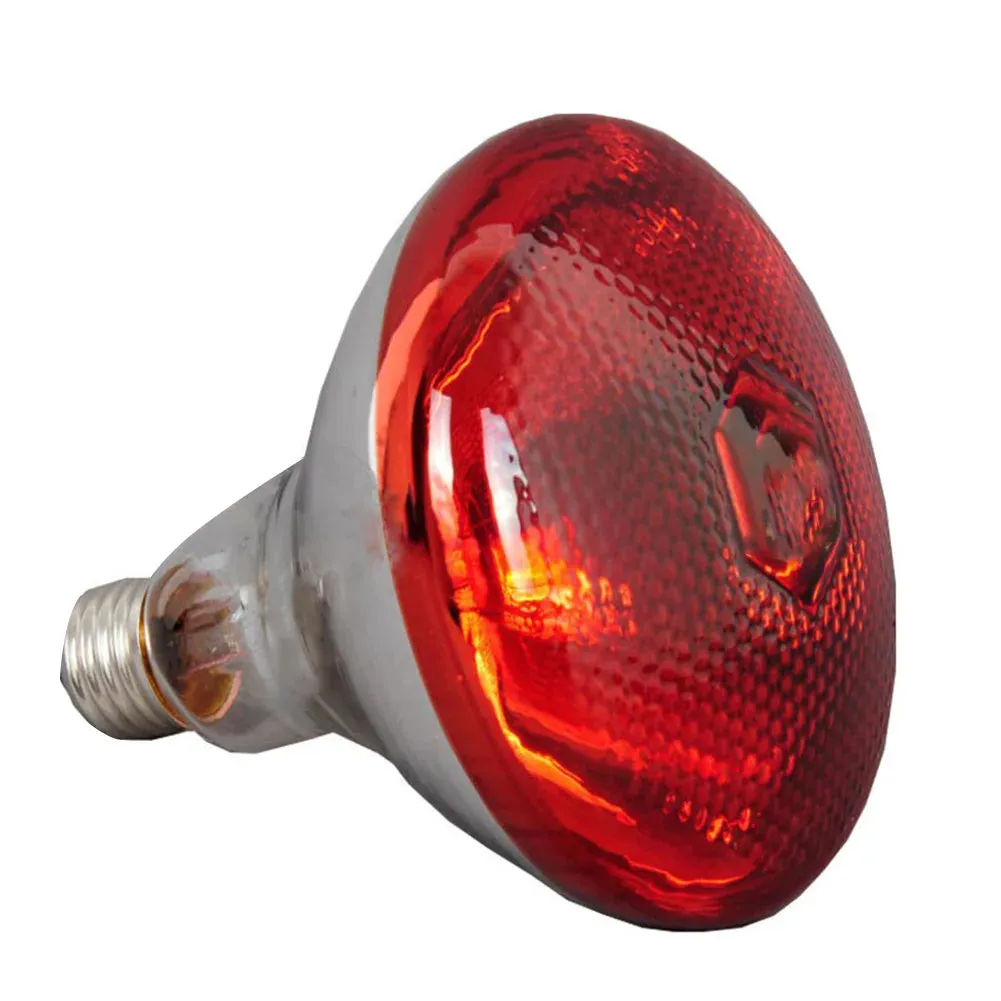 Reliable Infrared Heat Bulb For Animals