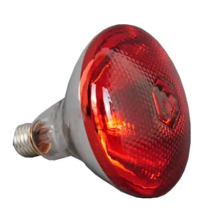 Reliable Infrared Heat Bulb For Animals