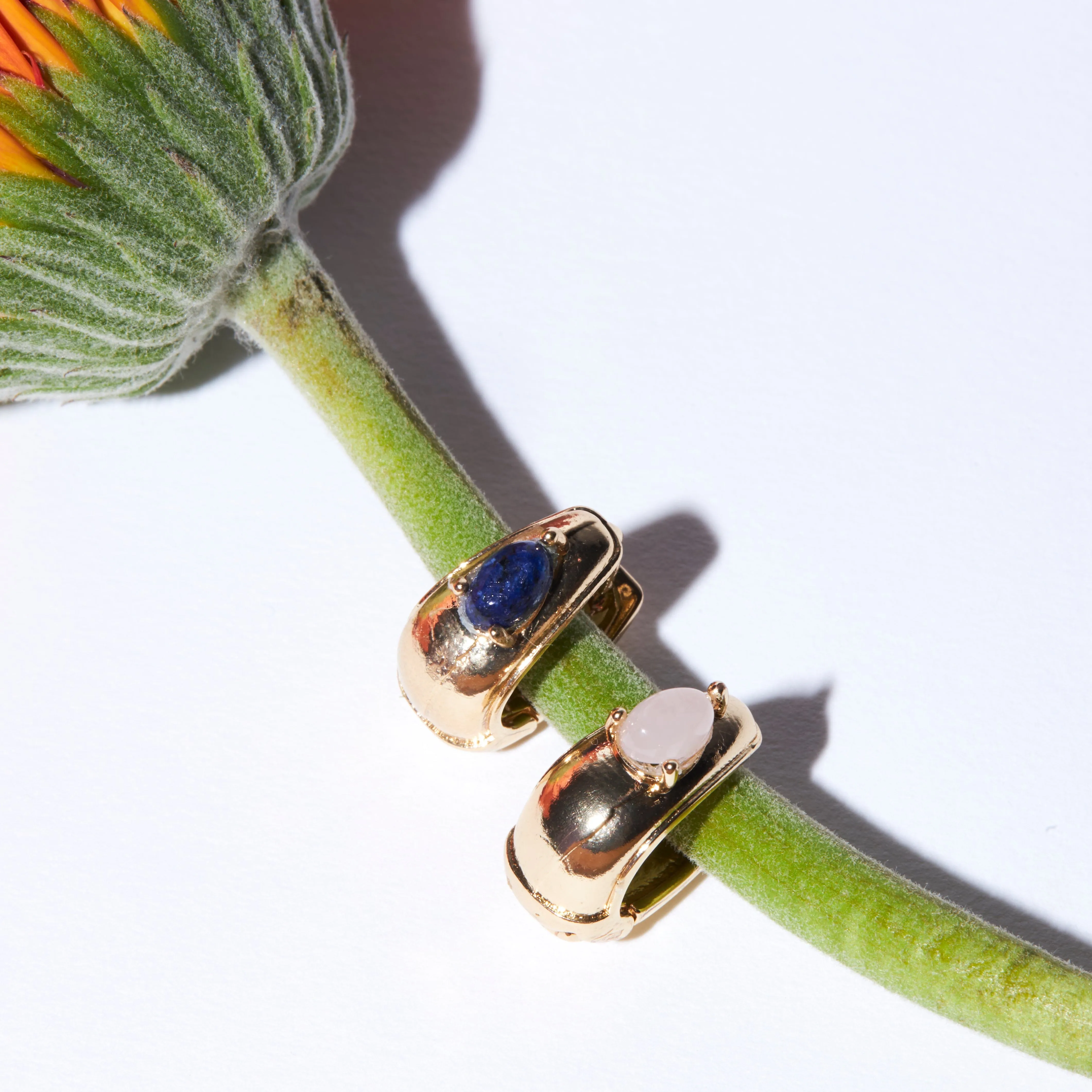 Rose Quartz Gold Huggie Earrings