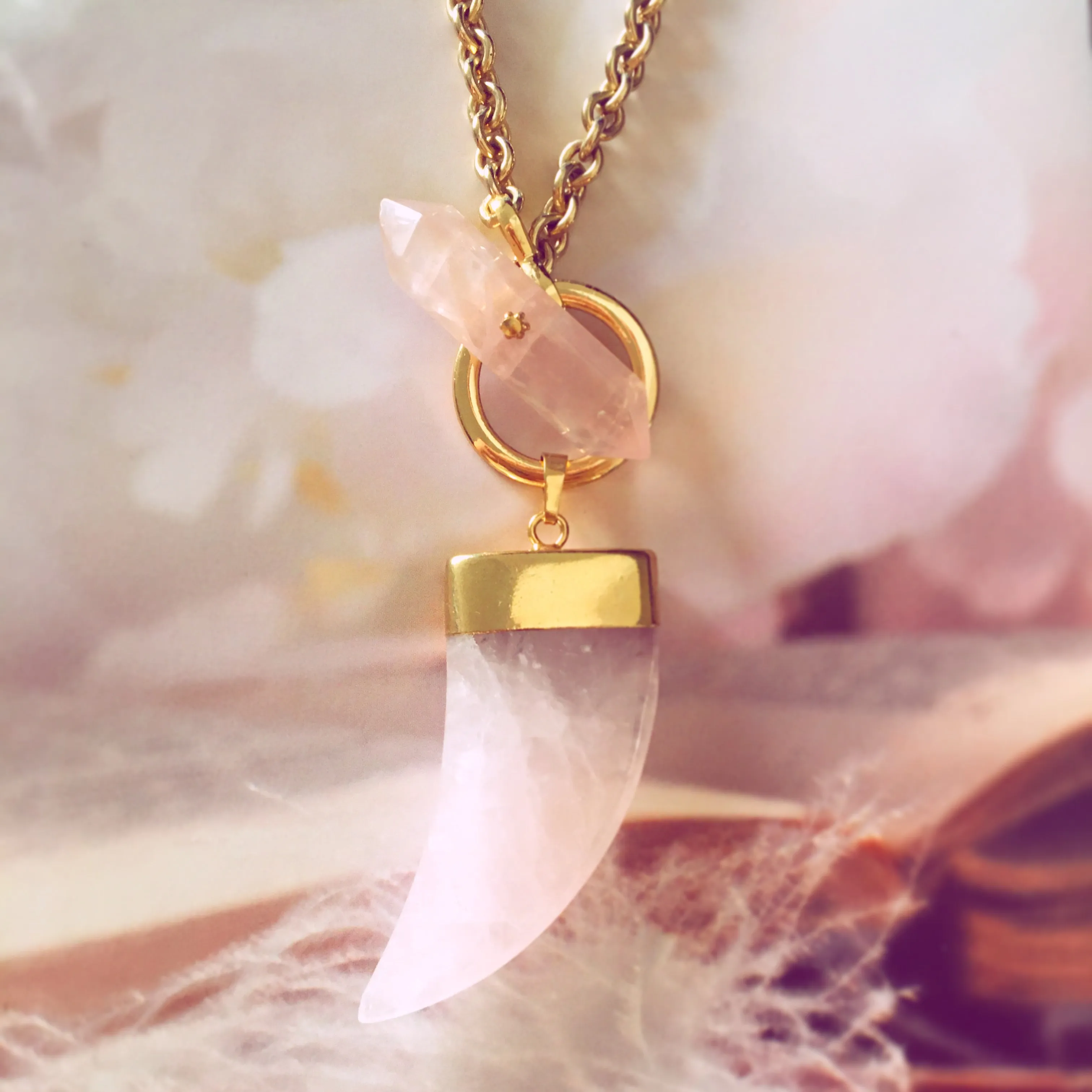 Rose quartz horn toggle necklace