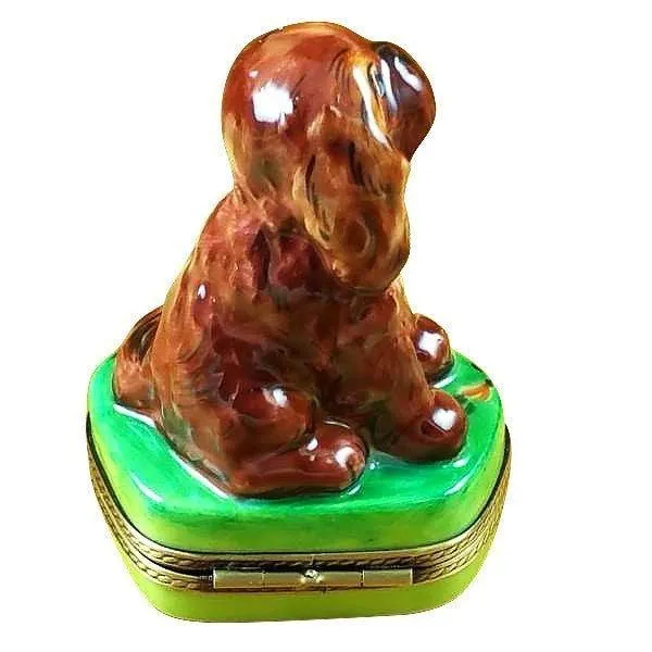 Ruby King Charles Spaniel