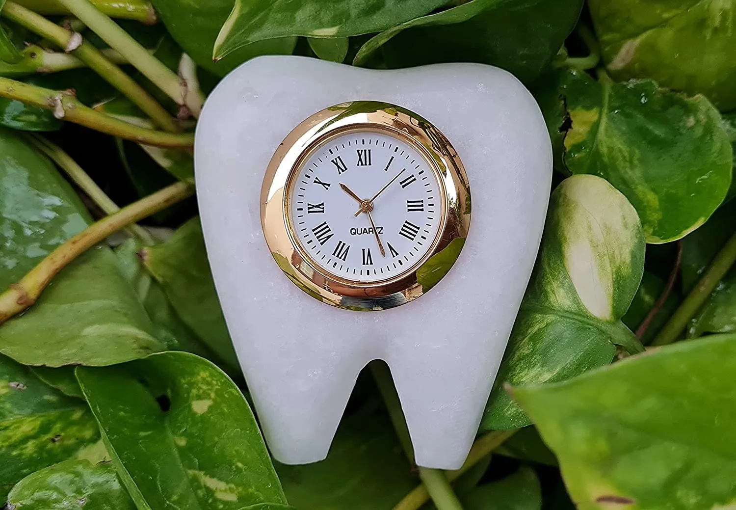 SAUDEEP INDIA Tooth Shape Dentist Desk Marble Table Clock for Decor and Paper Weight, Ideal for Dentists and Doctors (White)