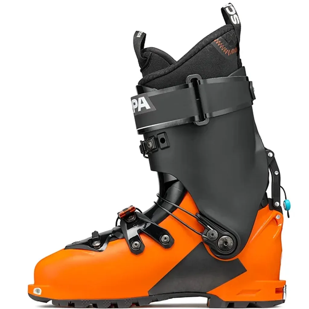 Scarpa - Maestrale