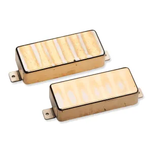 SD Set ANTQ II For Firebird Gold