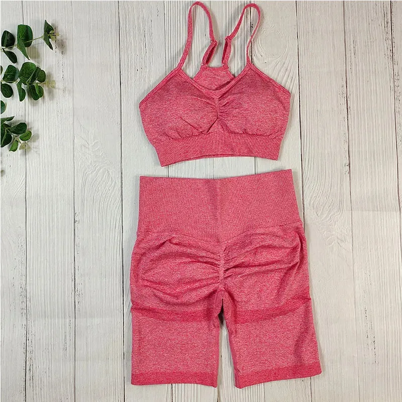 Seamless Gym Clothing Set for Women