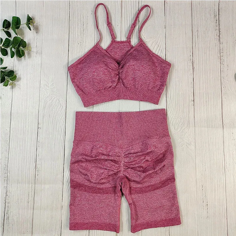 Seamless Gym Clothing Set for Women