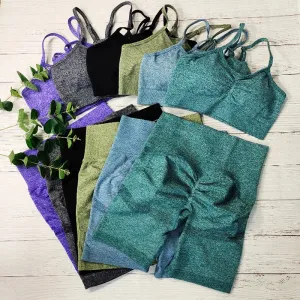 Seamless Gym Clothing Set for Women