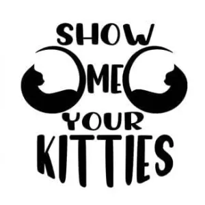 Show Me Your Kitties PNG, Funny Sarcastic T-Shirt Poster Quote Raccoon - AI Created One of a Kind DIY Digital Download Art