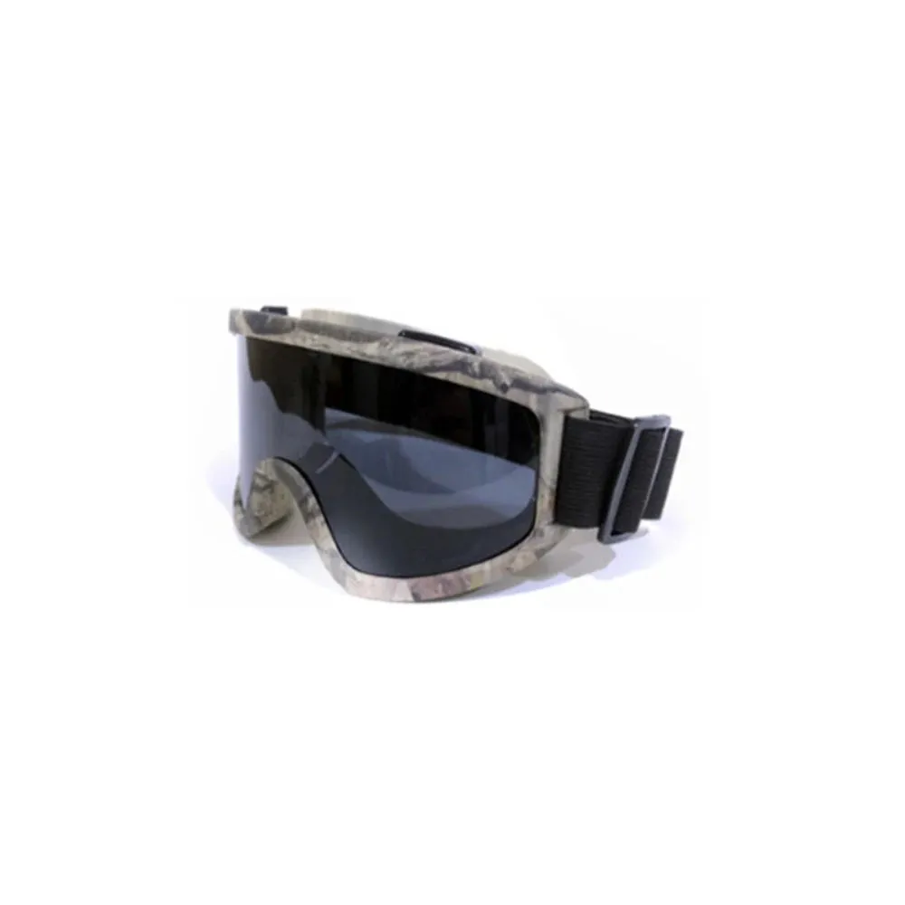 Ski Goggles