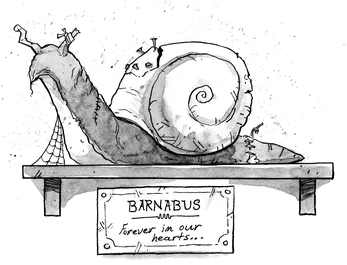 Snail Fancy   PDF