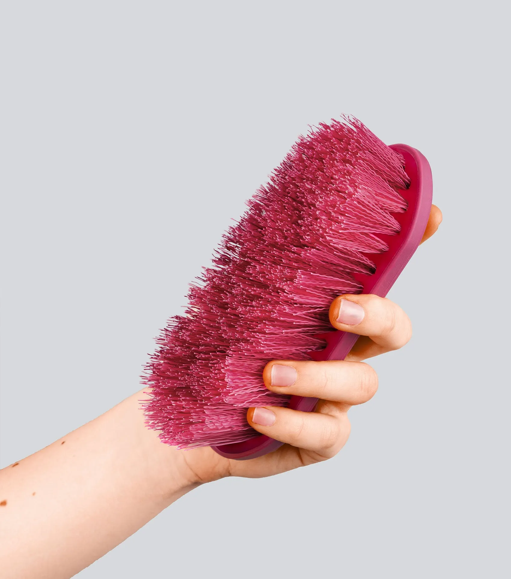 Soft-Touch Dandy Brush - Small Wine & Fuchsia