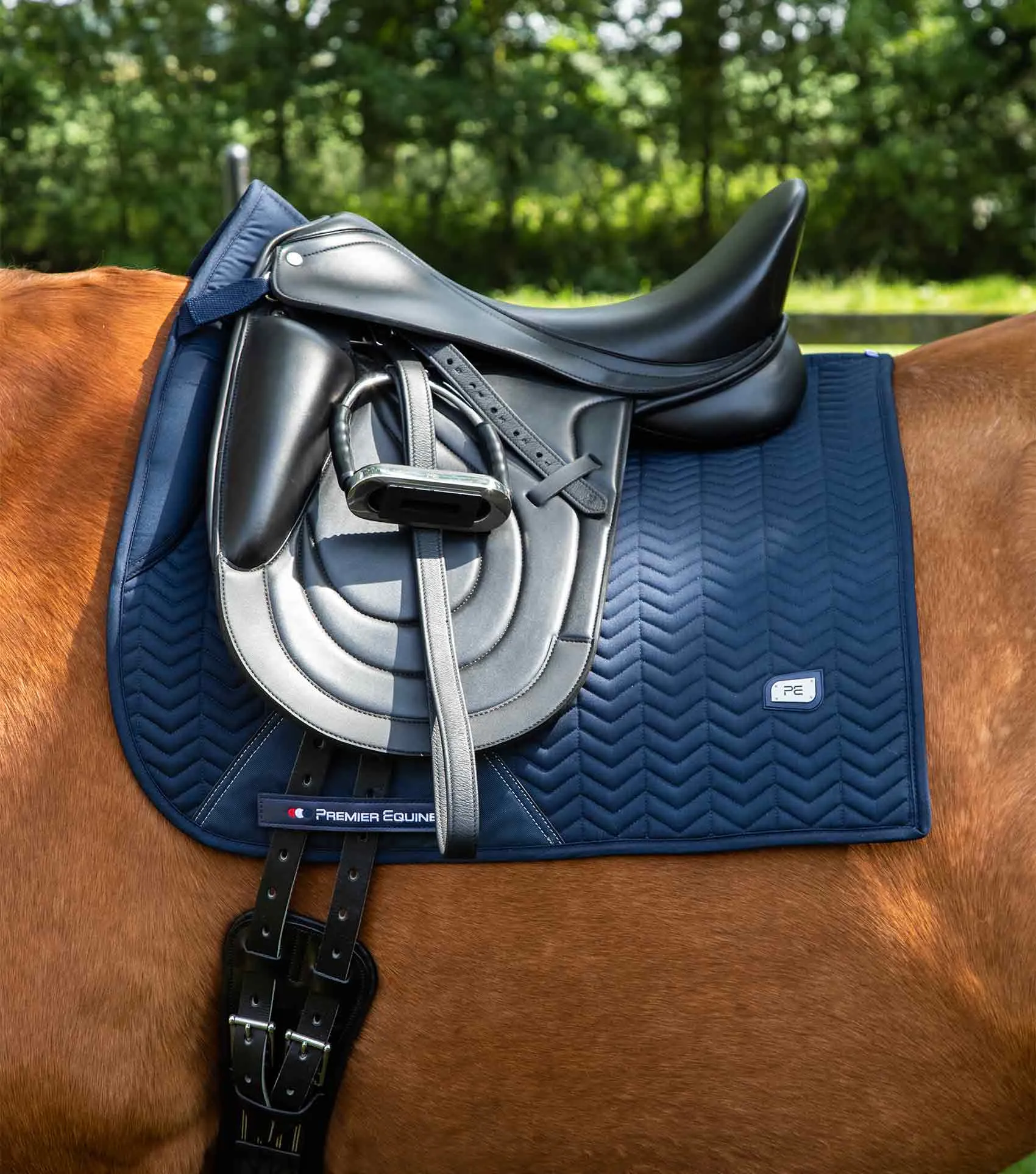 Sovereign Dressage Square Navy