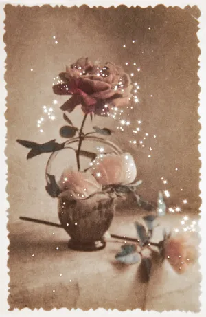 Their Still Life