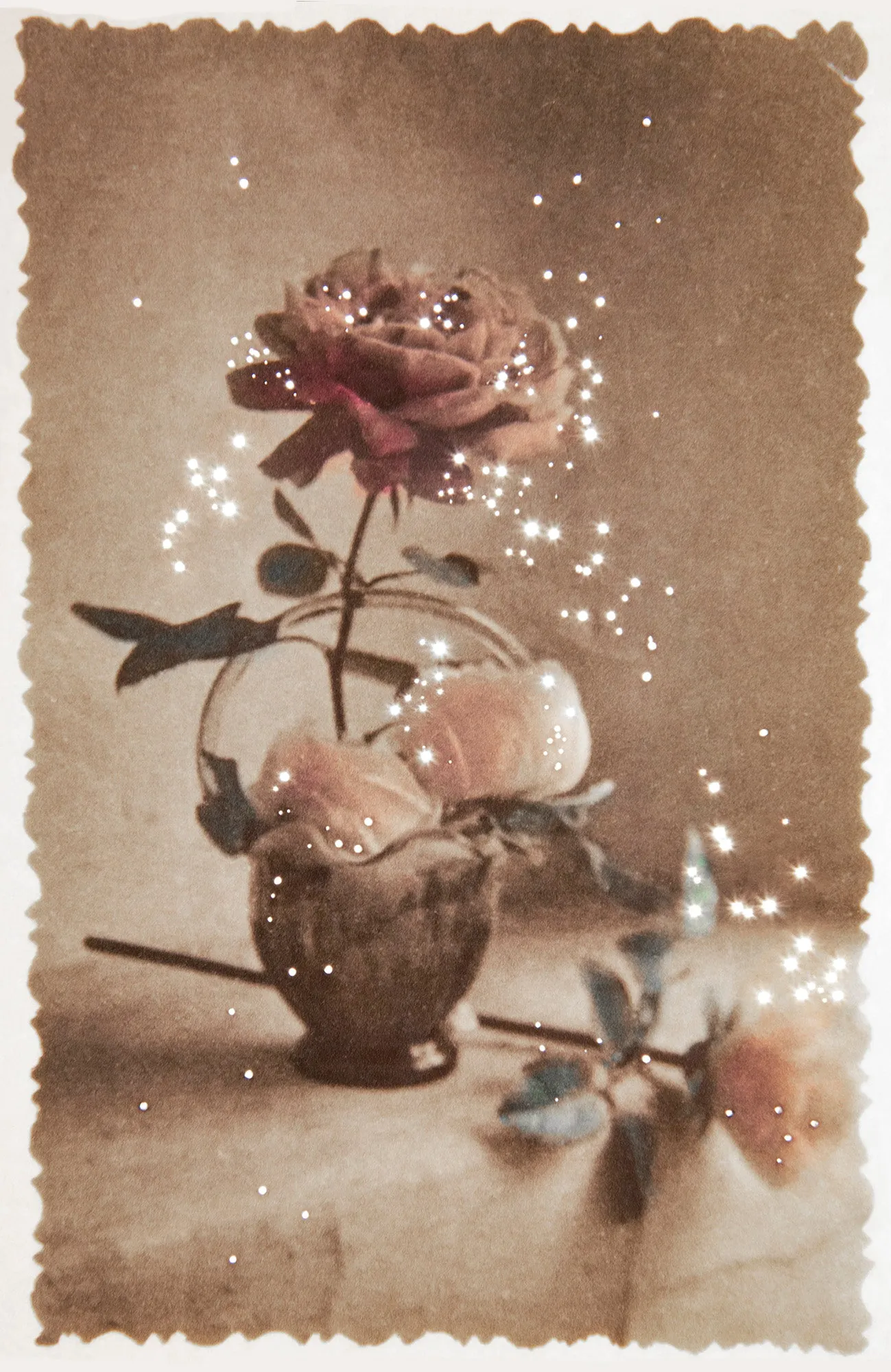 Their Still Life
