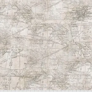 Tim Holtz Monochrome Parchment Expedition Cotton Fabric by Free Spirit PWTH016.Parchment