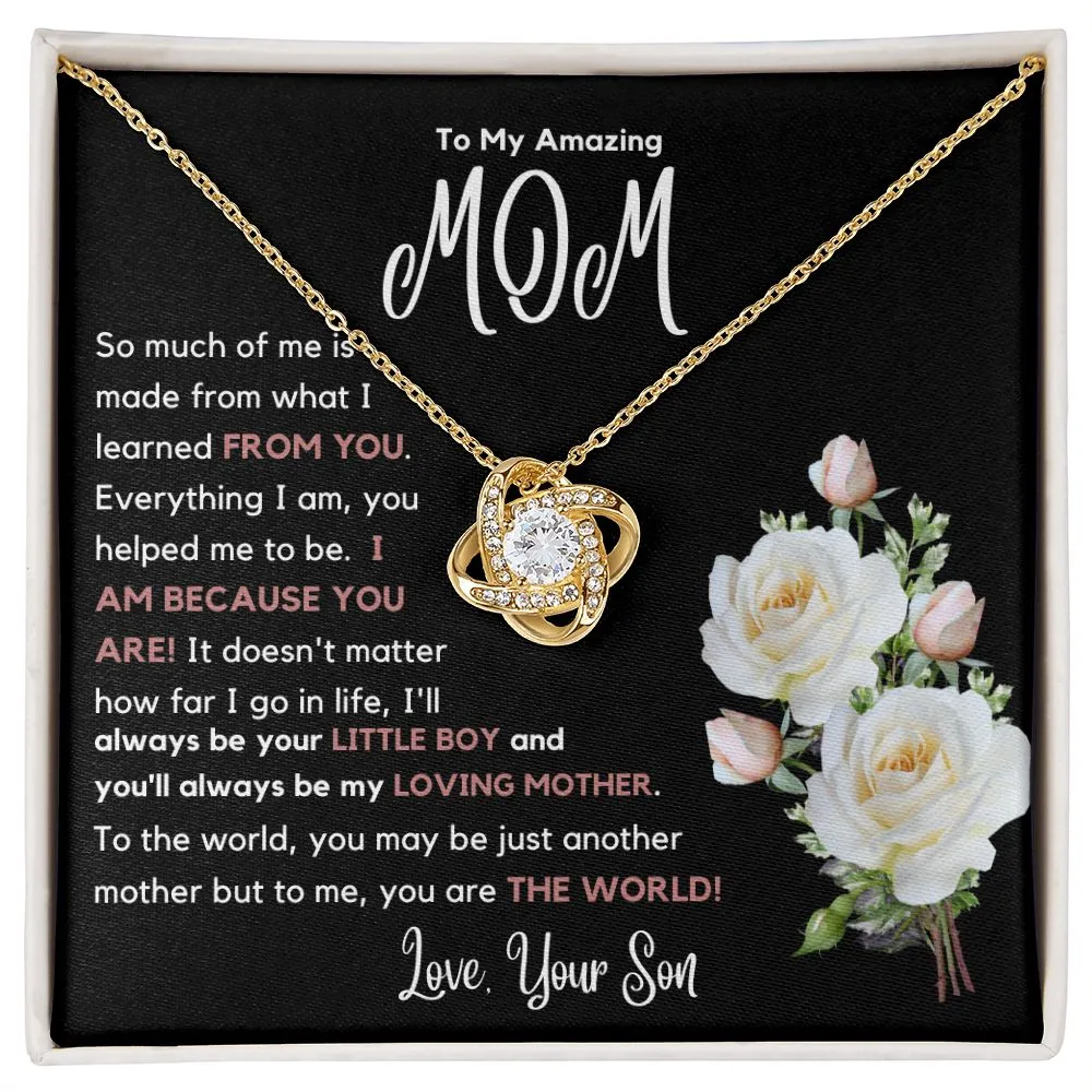 To My Amazing Mom So Much Of Me Is Made From You