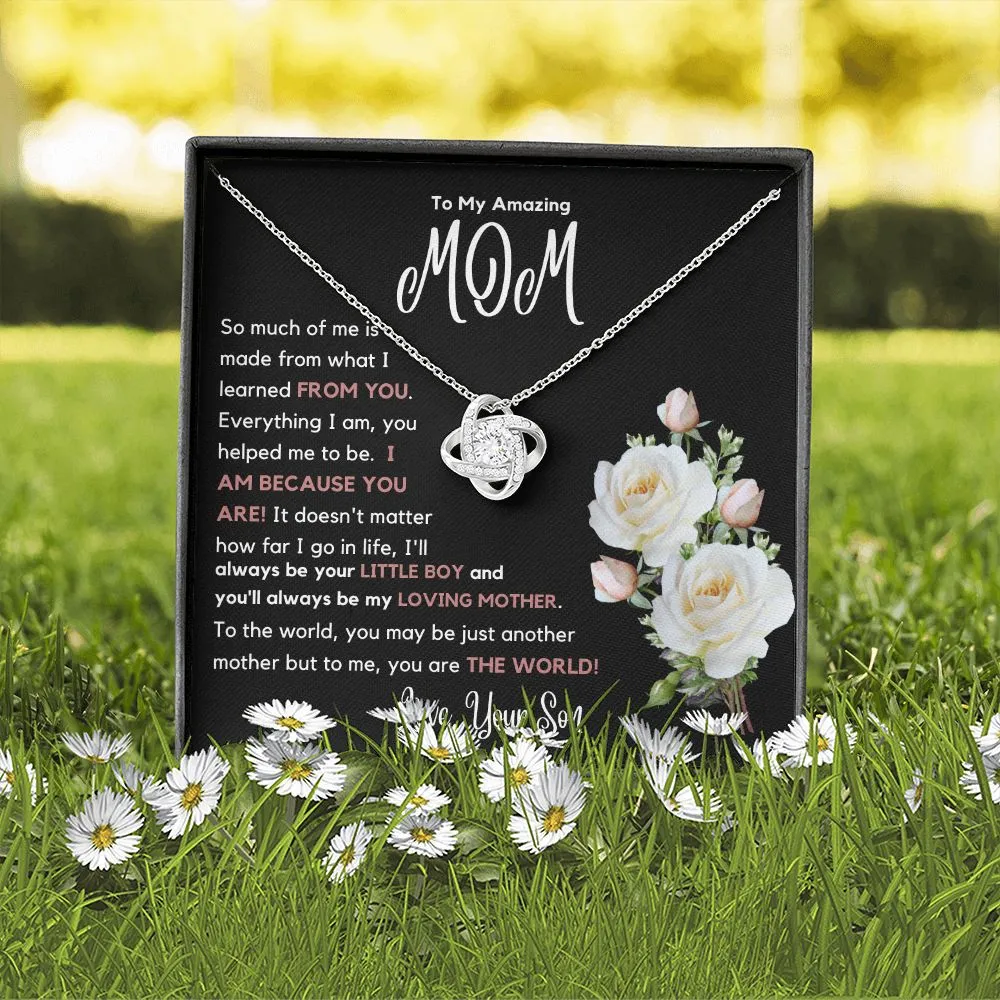 To My Amazing Mom So Much Of Me Is Made From You