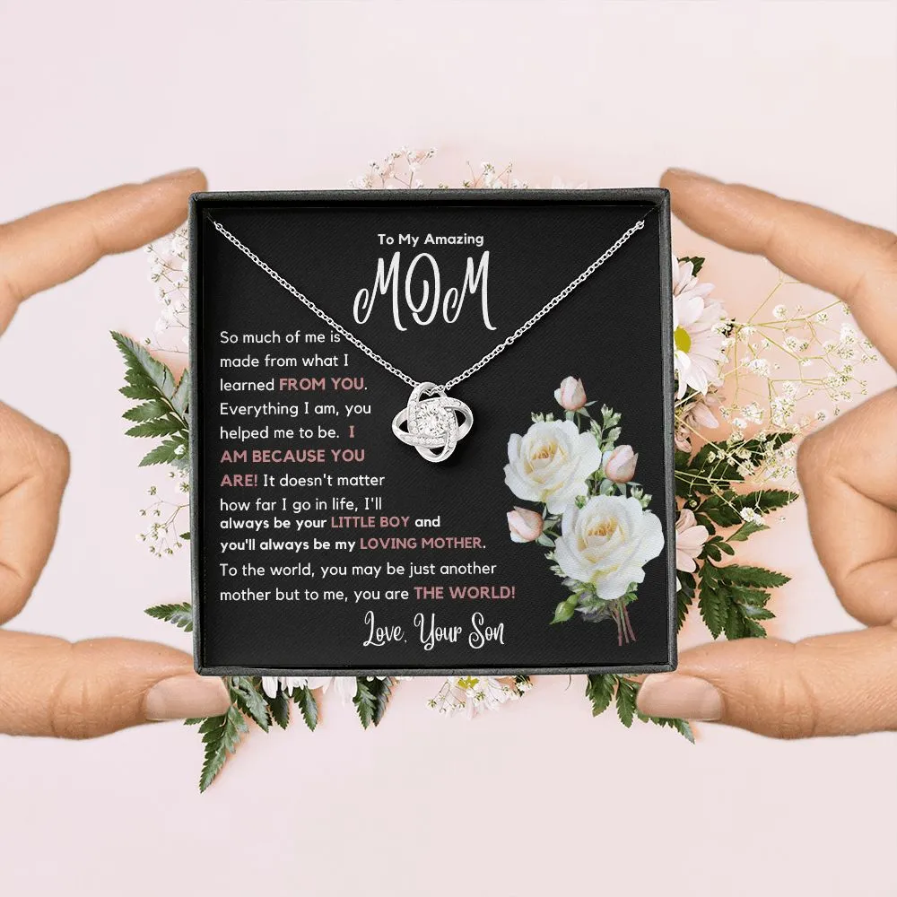 To My Amazing Mom So Much Of Me Is Made From You