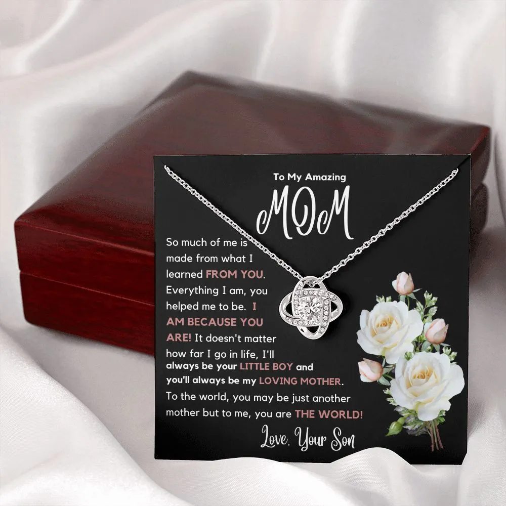 To My Amazing Mom So Much Of Me Is Made From You