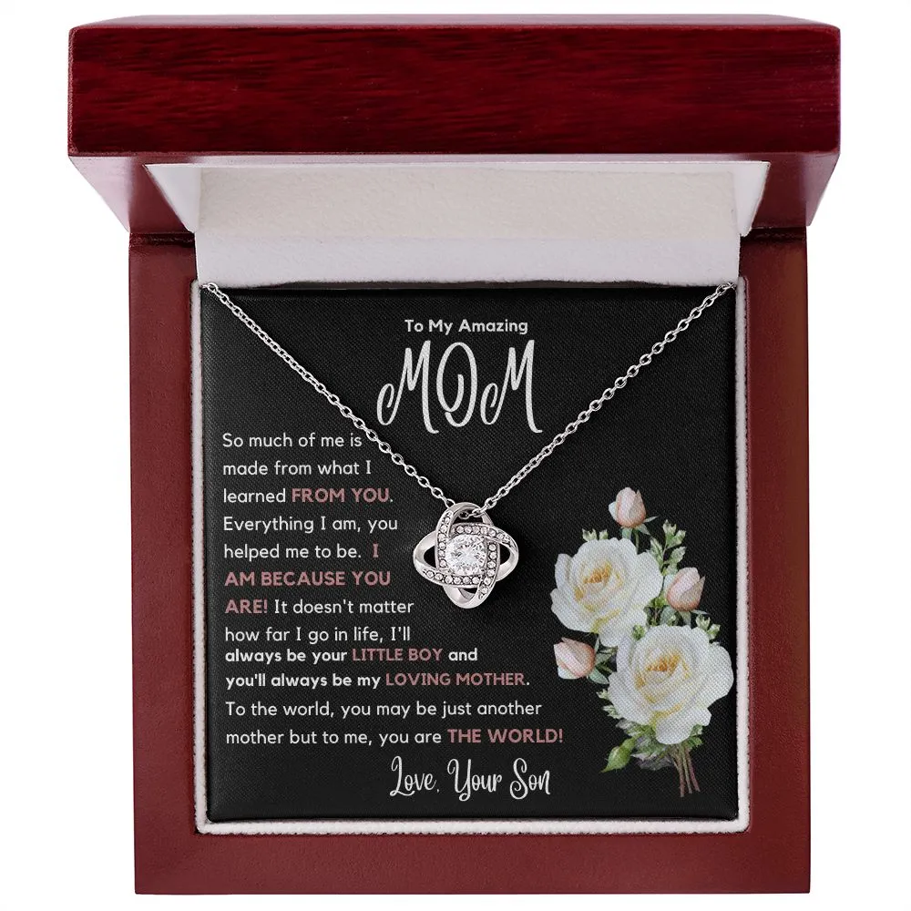 To My Amazing Mom So Much Of Me Is Made From You