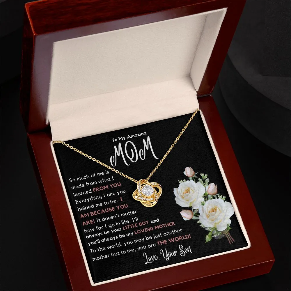 To My Amazing Mom So Much Of Me Is Made From You