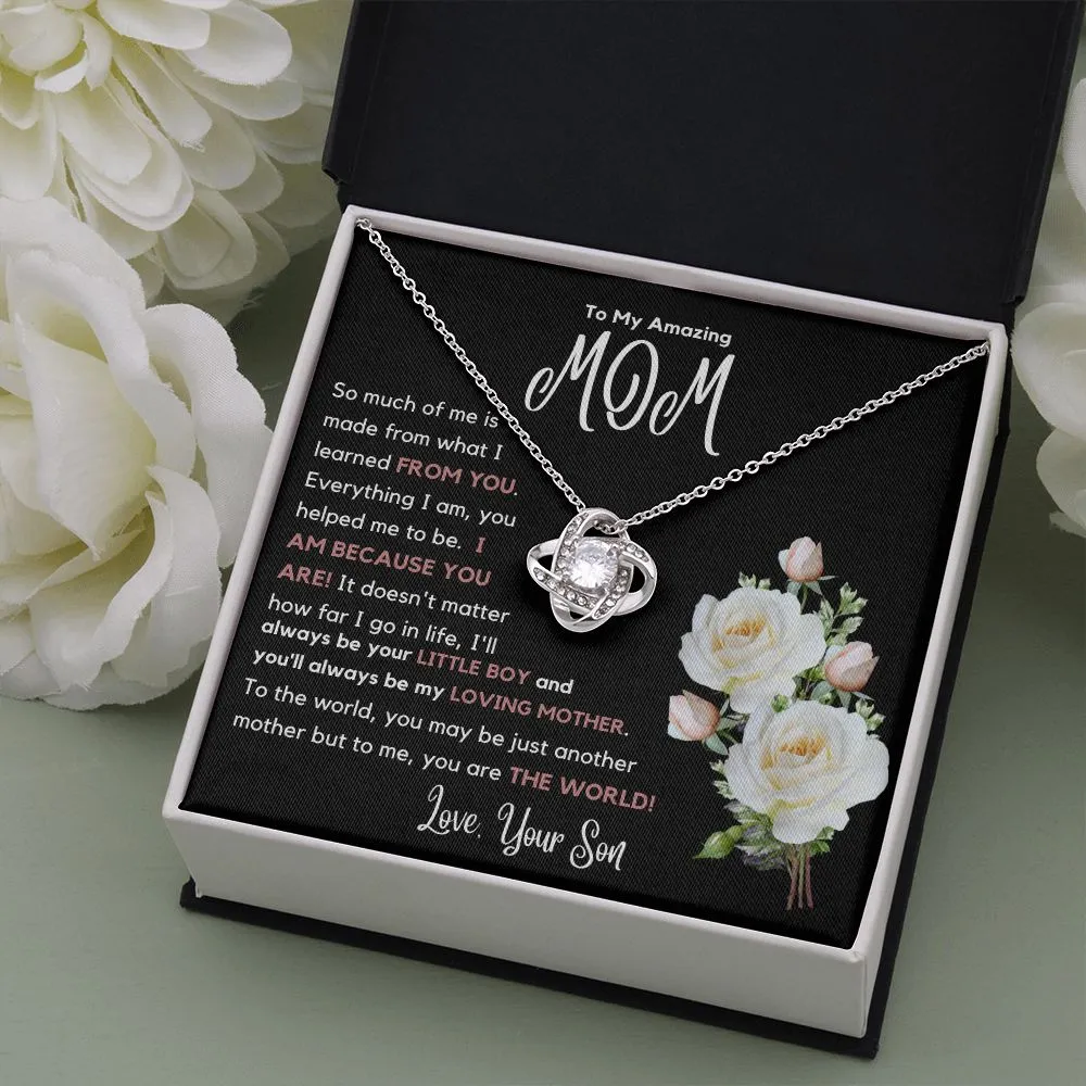 To My Amazing Mom So Much Of Me Is Made From You