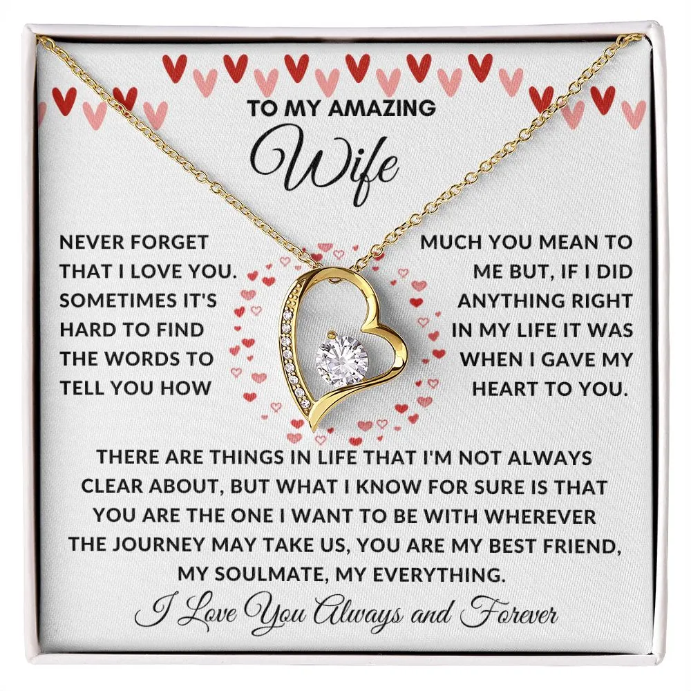 To My Amazing Wife Never Forget There Are Things In Life Red