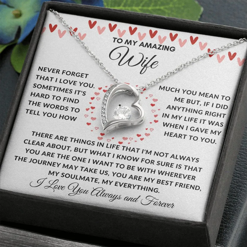 To My Amazing Wife Never Forget There Are Things In Life Red