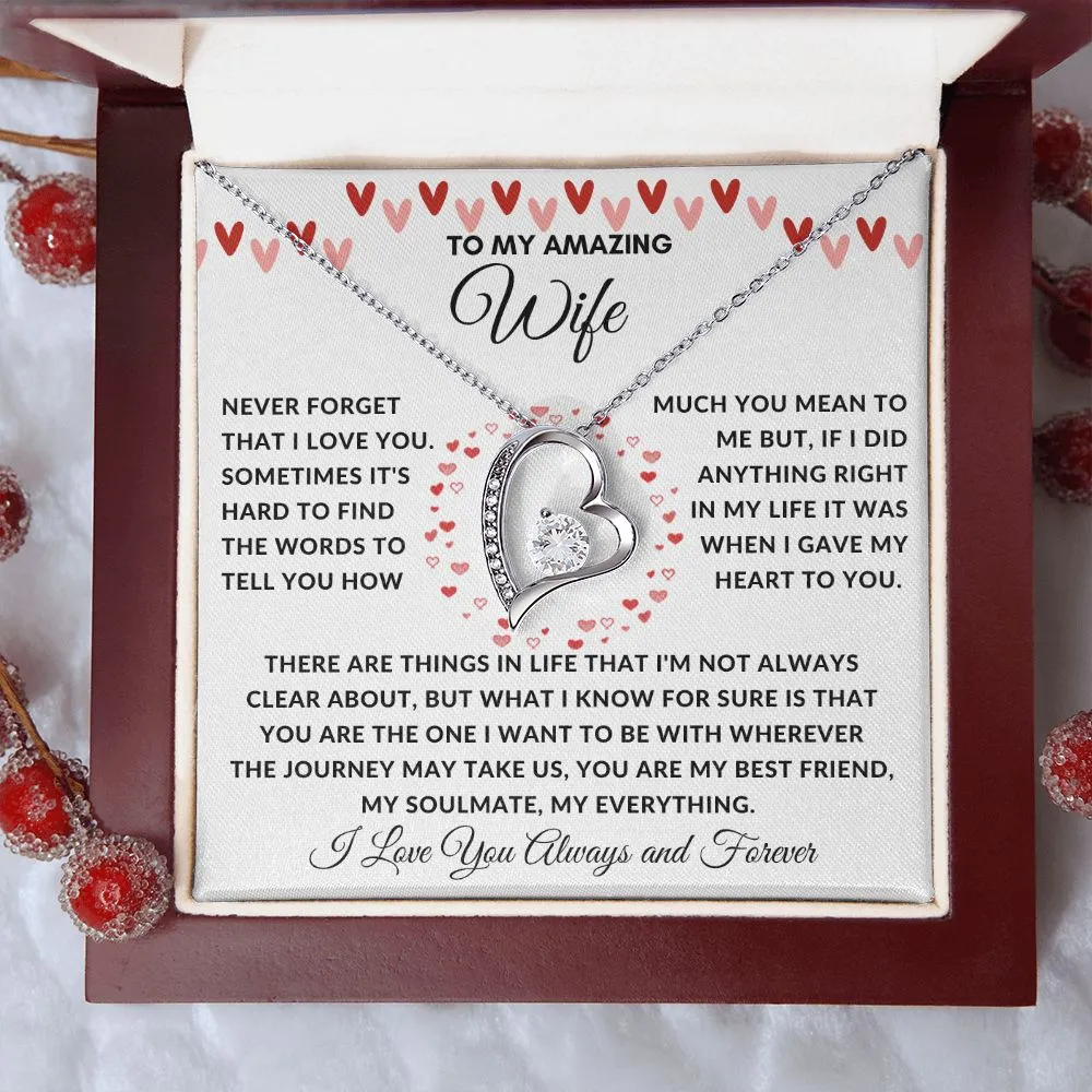 To My Amazing Wife Never Forget There Are Things In Life Red