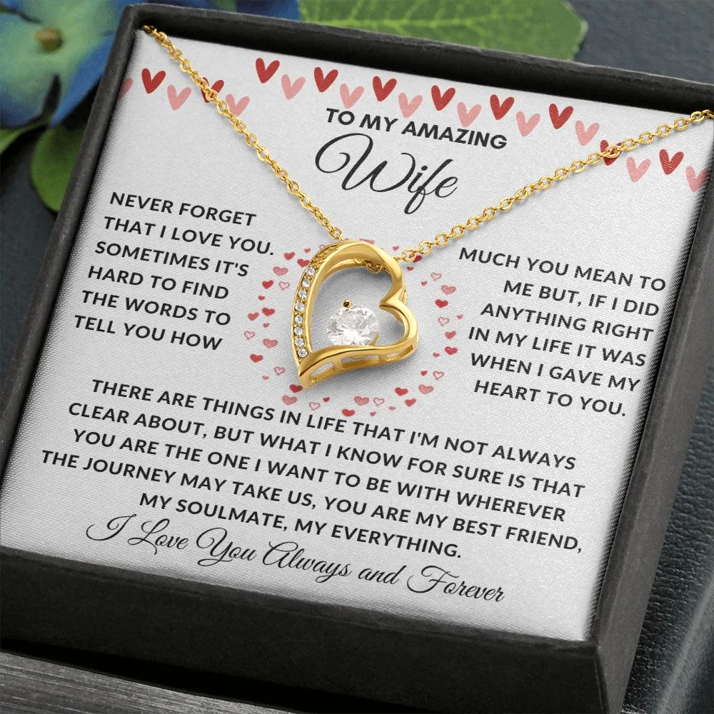 To My Amazing Wife Never Forget There Are Things In Life Red