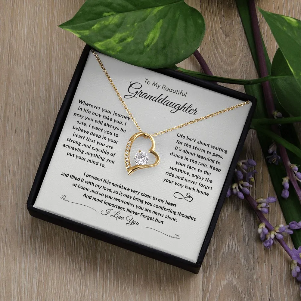 To My Beautiful Granddaughter Your Journey In Life