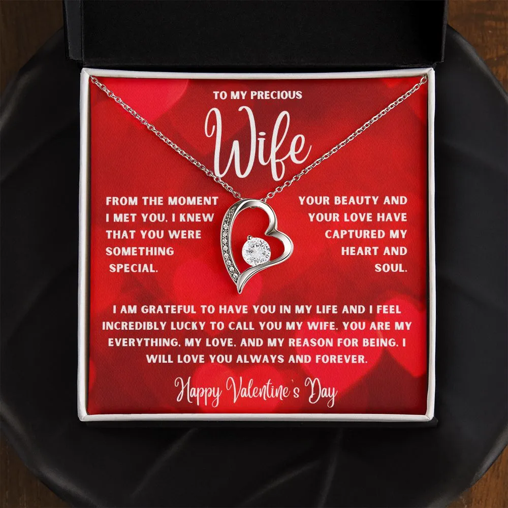 To My Precious Wife From The Moment I Met You Valentine's Day